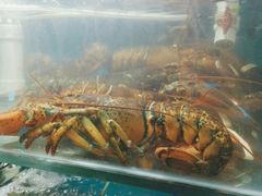 -名超海鲜烧烤大排档