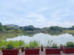 -福田红树林生态公园