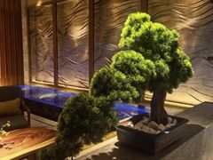 -浅深(北京北四环精品店)