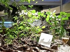 -曲廊院(东四十一条店)