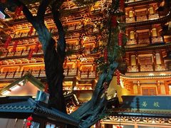 -越秀西湖花市(广州城市广场花卉店)