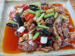 -青城甲(青城山店)