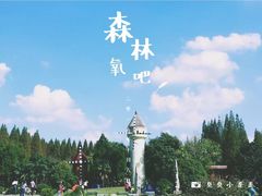 -崇明东平国家森林公园烧烤房车露营地