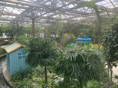 -南宫五洲植物乐园