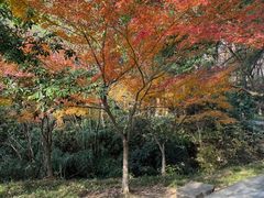 -宝岩生态观光园