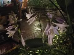 -墨居上隐·院子里火锅(峨眉店)