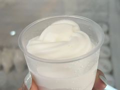 -洪馨椰子