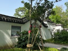 -上海醉白池公园