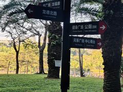 -深圳龙潭公园