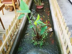 -丫口花园餐厅·融合菜