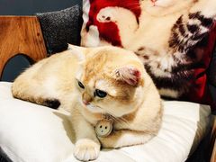 大堂-咖法森林·咖啡  酒吧(天河店)