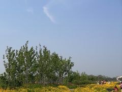 -尚贤河湿地