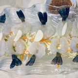 澳门探店｜搬不走的泰式风味