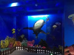 -船奇蒸汽海鲜·闽菜(八市海鲜总店)