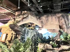 -陕西自然博物馆