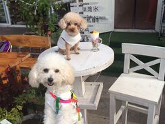 -一杯海(国际海水浴场店)