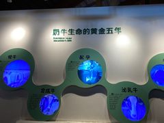 -君乐宝优致牧场