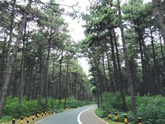 -长春净月潭风景名胜区