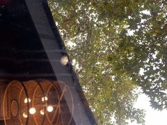 -鱼桥巷·美学川菜