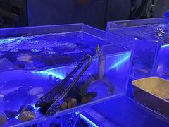 -山海盟海鲜烤肉自助餐厅(杭州萧山银泰店)