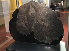 -东京国立博物馆