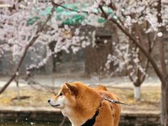 -三里河公园
