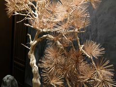 -百富源·海鲜辽菜(和平北大街店)