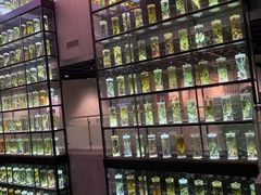 -广东中医药博物馆