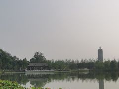 -西海子公园