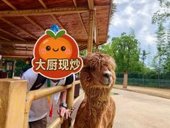 -杭州野生动物世界