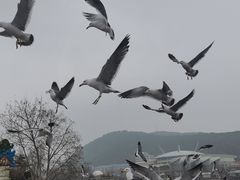 -燕窝岭