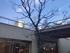 -茑屋书店(天目里店)