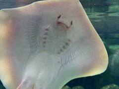 -珠海长隆海洋王国