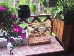 -宜家家居(哈尔滨商场店)