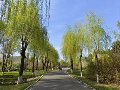 -欧亚之窗公园
