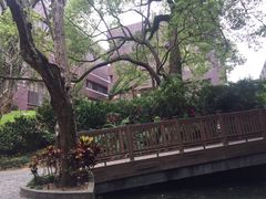 -香港大学