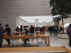 -Apple零售店(济南恒隆广场店)