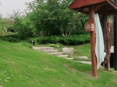 -思念果岭悦温泉