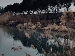 -韩湘水博园