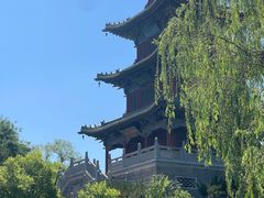 -迎泽公园