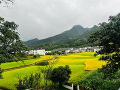 -万峰林风景区