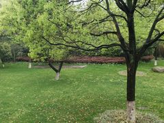 -天目湖御水温泉·度假酒店