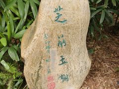 -广州兰圃