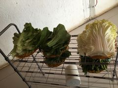 -蘑统田下·野生菌火锅