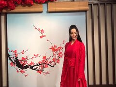 -武汉杜莎夫人蜡像馆