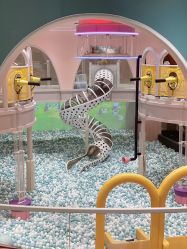 -奈尔宝·儿童乐园·亲子餐厅(鄞州万达店)