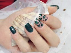 -甲舍美甲美睫艺术馆