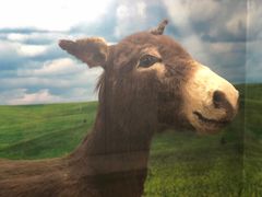 -郑州自然博物馆(惠济区)