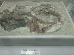 -中国地质大学逸夫博物馆