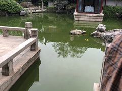 -祝家花園(伯渎港店)